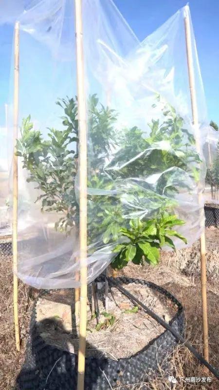 寒冷黄色预警生效中 冬季最强装备要拿出手了