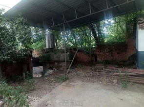 银三角可做 仓库 生态养殖水产品,鱼,泥鳅,有机 其它房屋信息