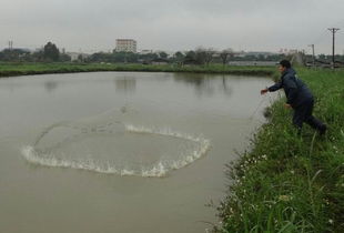 南海区人民政府门户网站