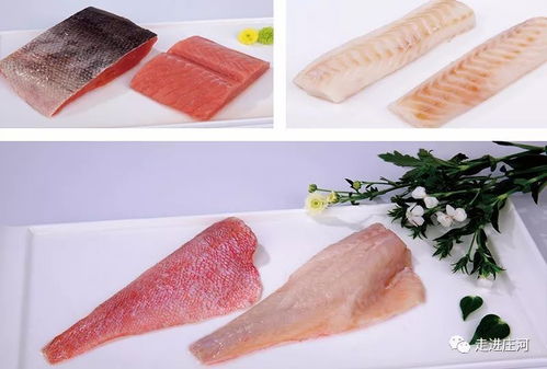 辽宁省庄河市地工产品企业名录 水产食品加工类