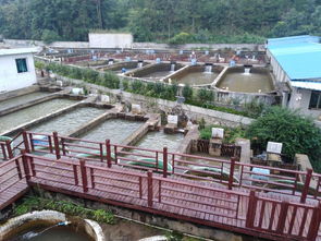 贵州水产研究所实验基地