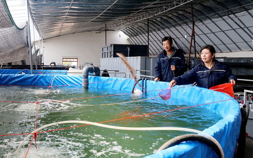 临泽县人民政府 临泽 着力夯实产业基础 增强县域经济发展后劲