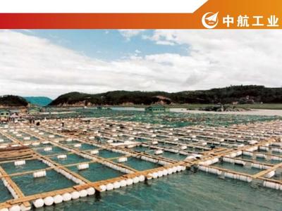 网箱养殖水产品经营分析报告