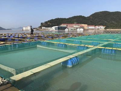 寒潮橙色预警!象山启动低温雨雪冰冻灾害Ⅳ级应急响应