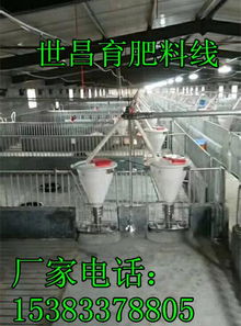 养猪设备厂供应自动下料桶,养猪设备厂供应自动下料桶生产厂家,养猪设备厂供应自动下料桶价格