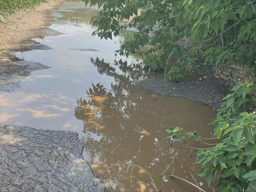 如东某生猪养殖场因违规水产品养殖被罚20000元