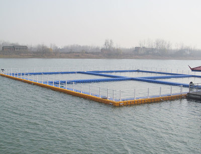 安庆网箱养殖 水产品养殖的创新之路