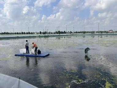 实探大闸蟹养殖地 电子验蟹师量化肥满度，日薪两千的职业新宠