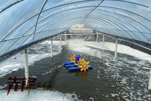 水产品养殖中药品与饲料添加剂的使用与规范