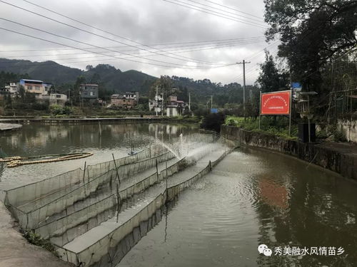 委员风采丨贺晓华 带头发展特色产业 带动贫困群众增收致富