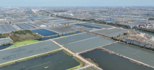 泰州兴化 农技专家一线支招，“一池双养”模式助力水产品养殖增收