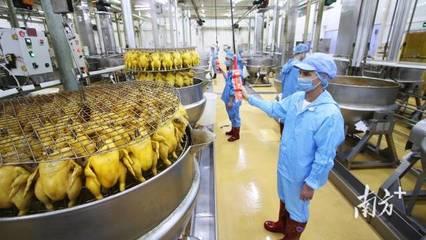 广东县域“食力”新版图 舌尖上的产业如何更有滋味？