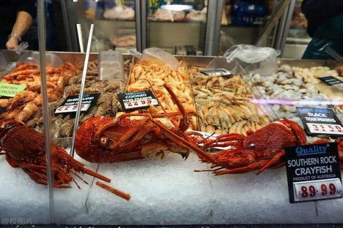 2030年，澳大利亚水产养殖业的“小目标” 蓝色增长，品质领航